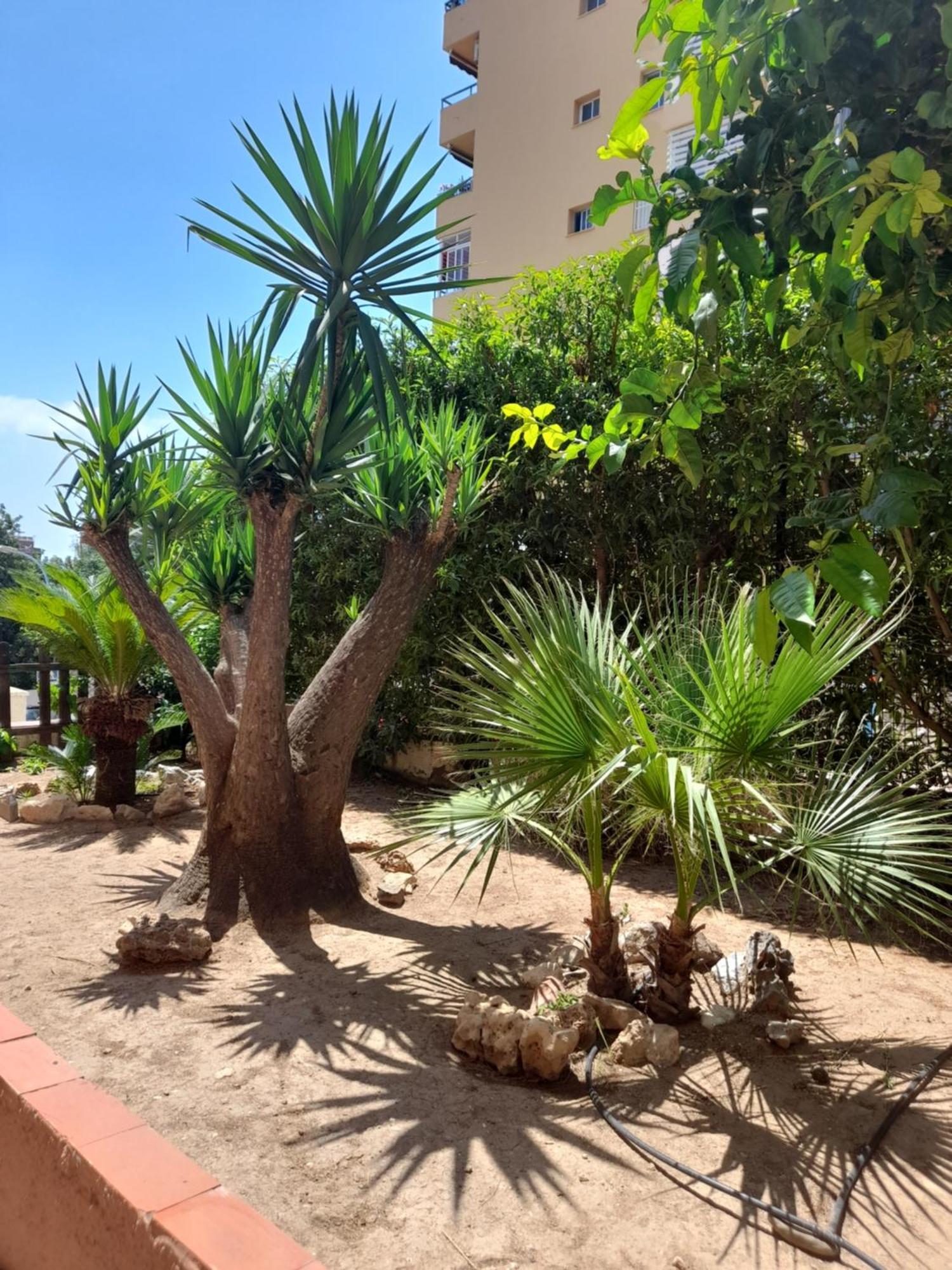 Torremolinos Centro Beach Apartment Exterior foto